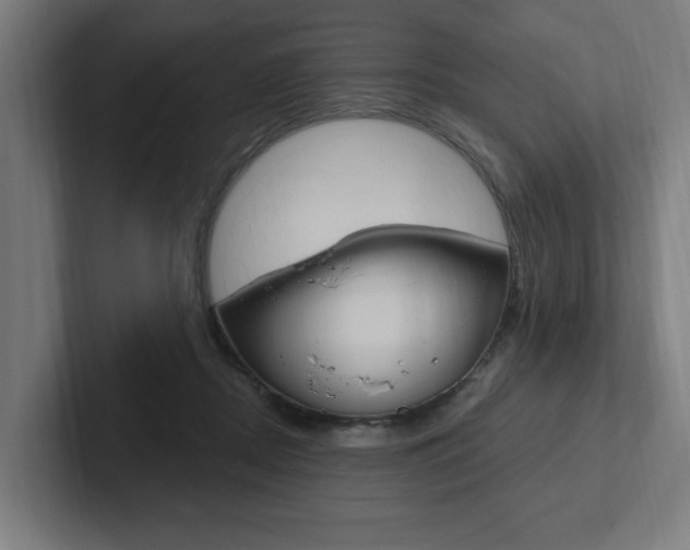 X0000102810362200808180957