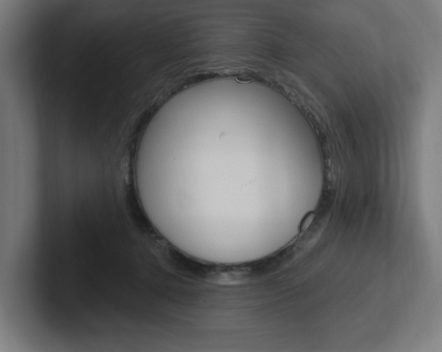 X0000102810368200808180957