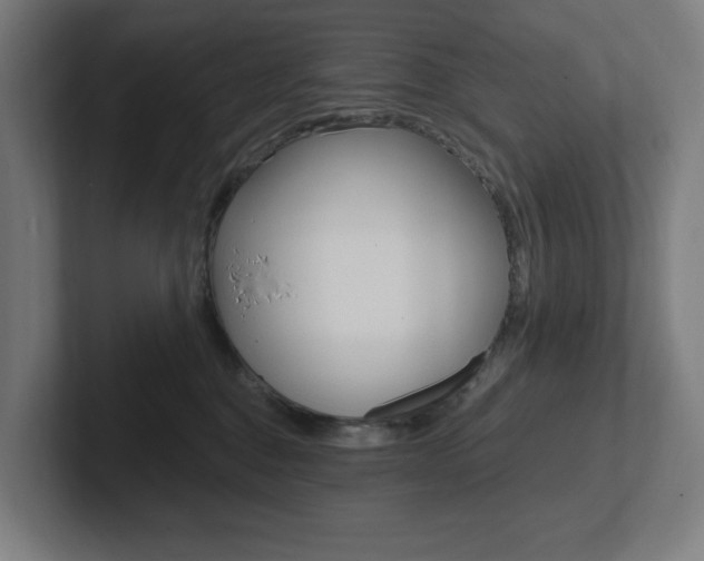 X0000102810376200808180958