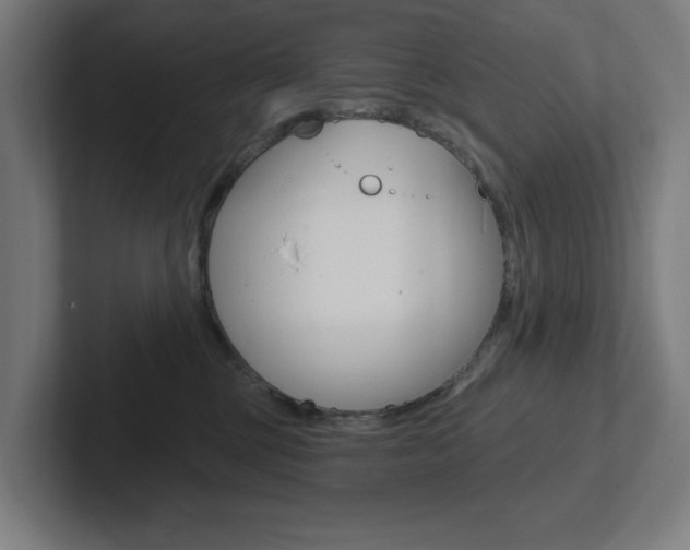 X0000102810377200808180958