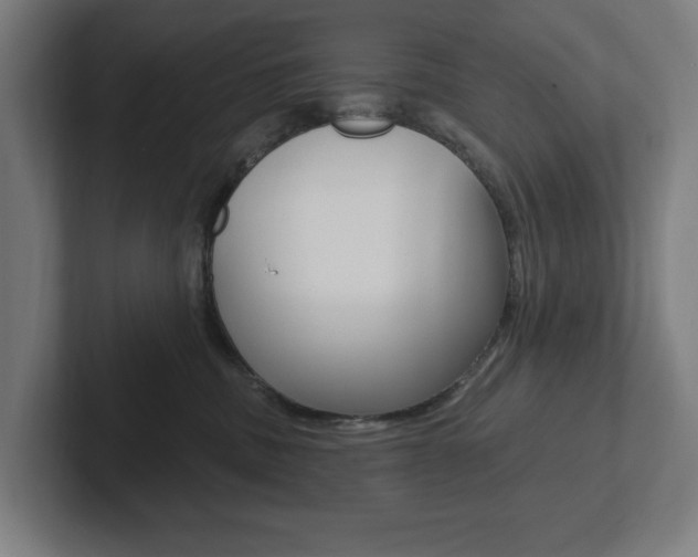 X0000102810379200808180958