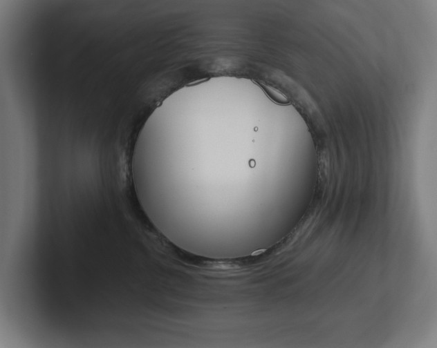 X0000102810380200808180958