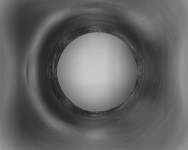 X0000102810381200808180958