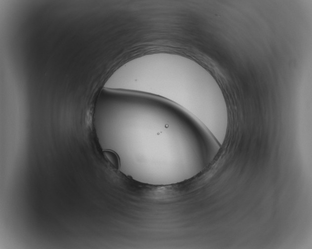 X0000102810382200808180958