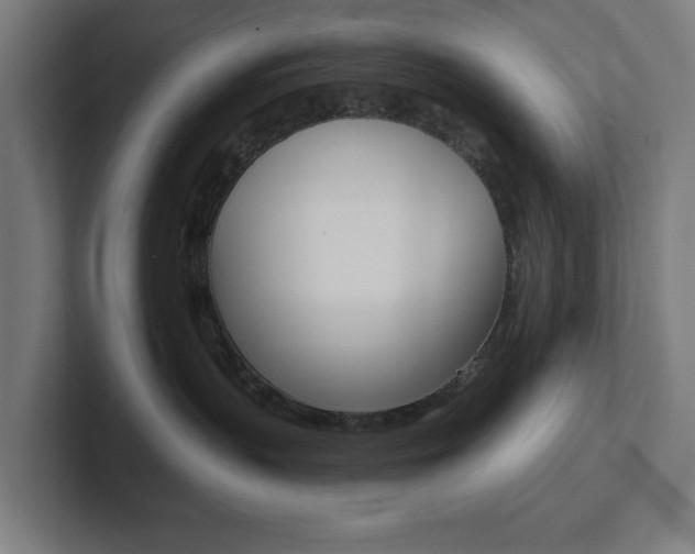 X0000102810383200808180958