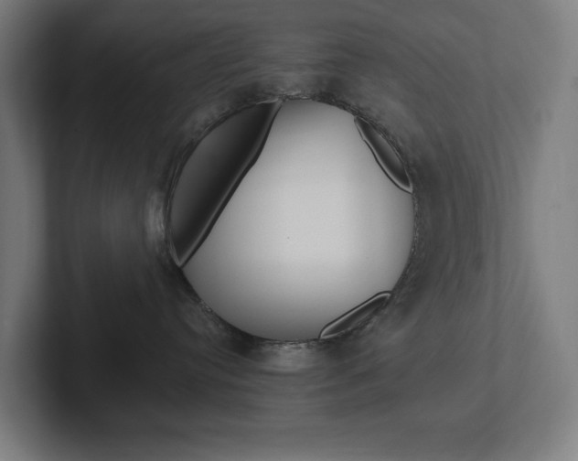 X0000102810384200808180958