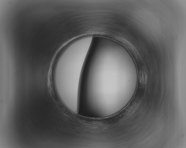 X0000102810388200808180957