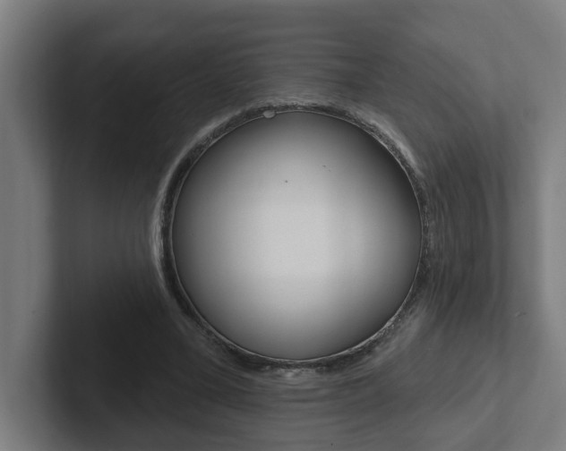 X0000102810395200808180957