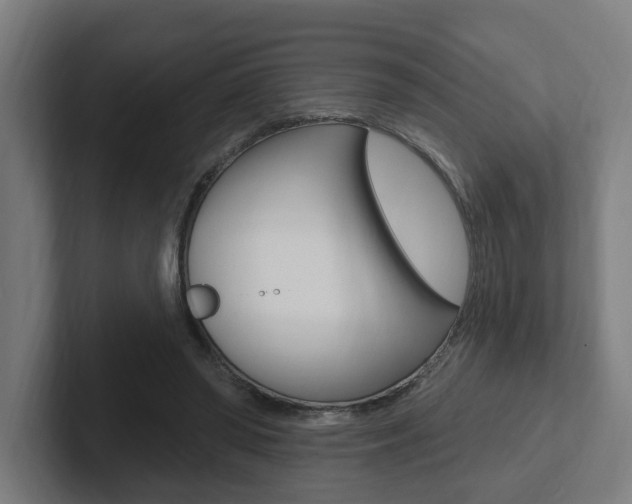 X0000102810398200808180957