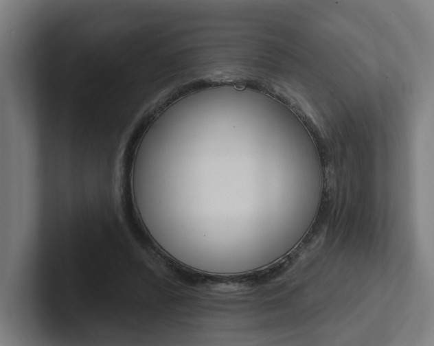 X0000102810400200808180957