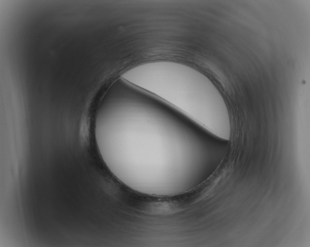 X0000102810404200808180957