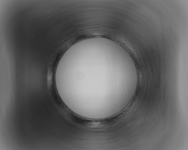 X0000102810406200808180957