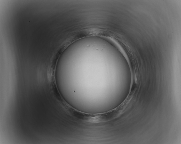 X0000102810411200808180957