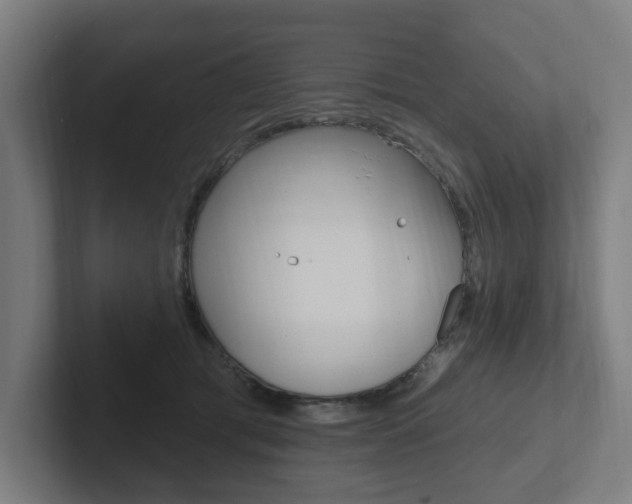 X0000102810417200808180957