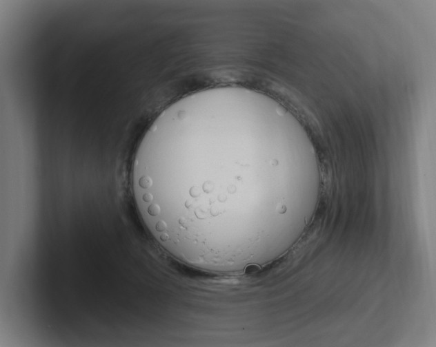 X0000102810418200808180957