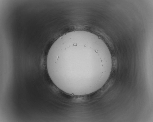 X0000102810419200808180957