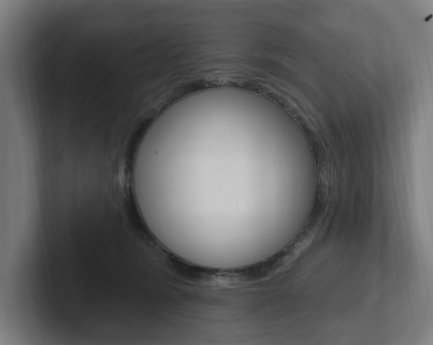 X0000102810420200808180957