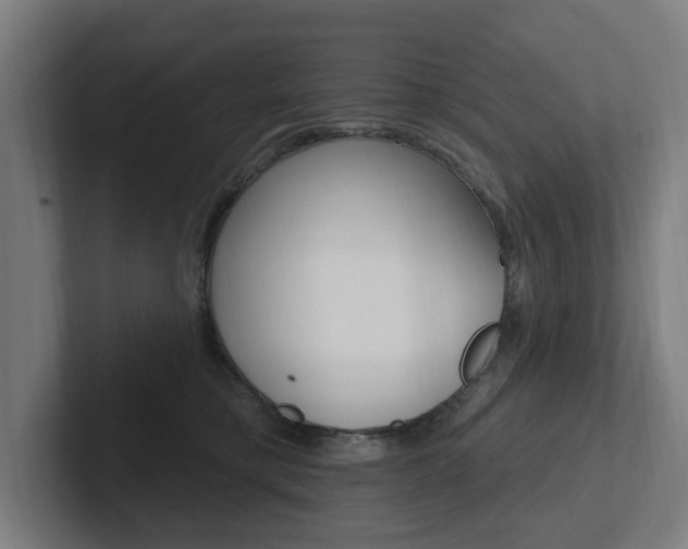 X0000102810421200808180957