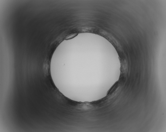 X0000102810427200808180957