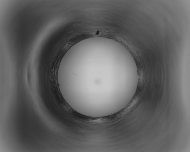 X0000102810430200808180956