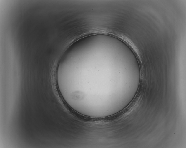 X0000102810433200808180956