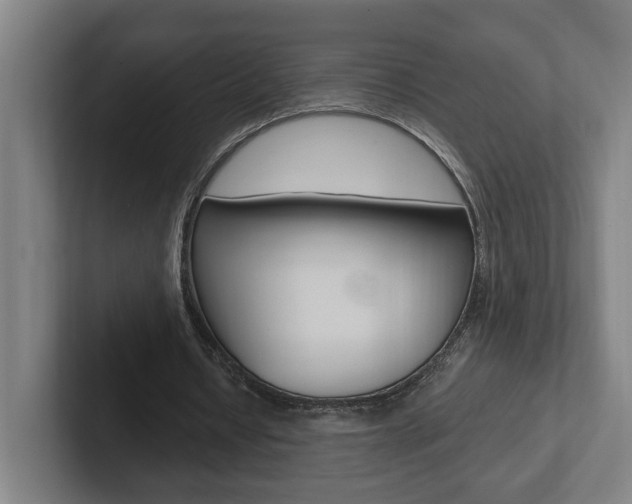 X0000102810434200808180956