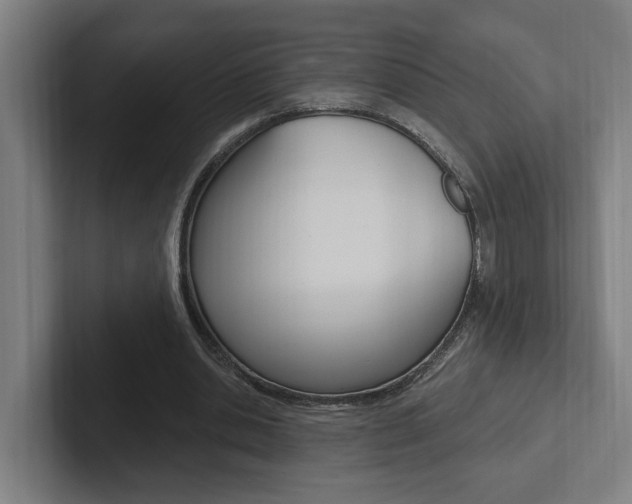 X0000102810438200808180956