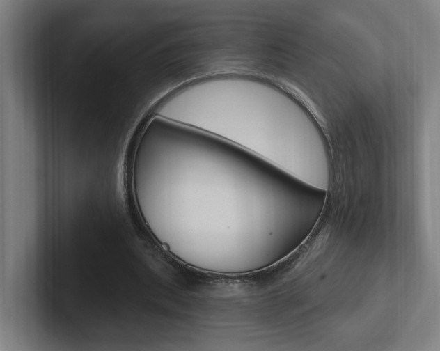 X0000102810439200808180956