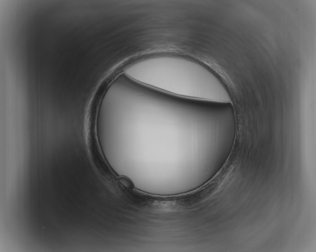 X0000102810440200808180956