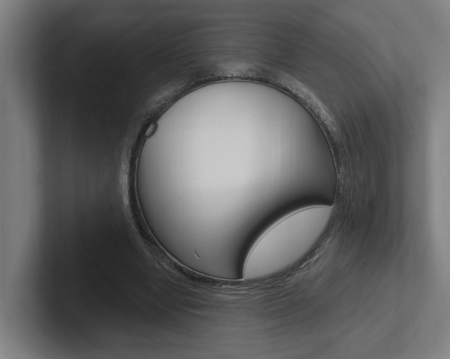 X0000102810442200808180956