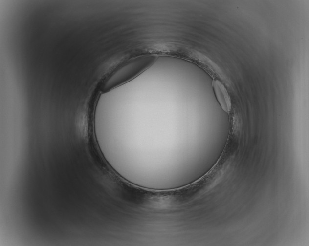 X0000102810444200808180956