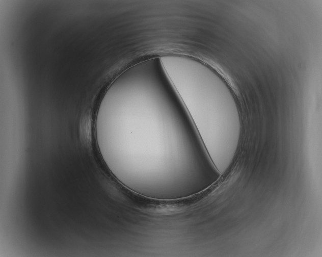 X0000102810445200808180956