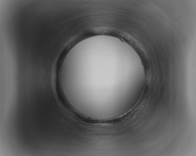 X0000102810448200808180956