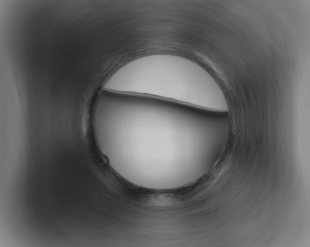 X0000102810451200808180956