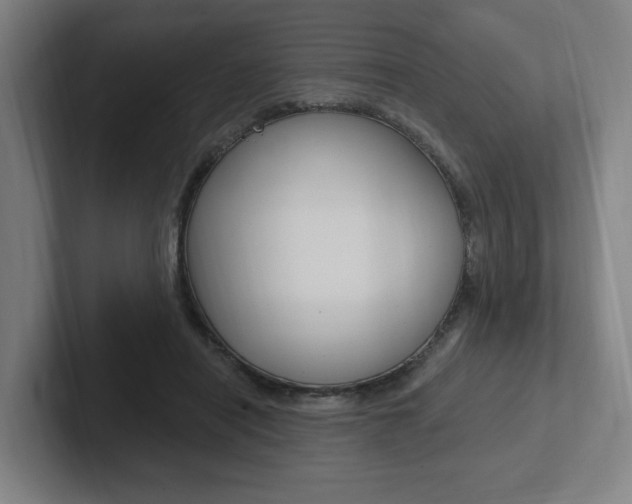 X0000102810454200808180956