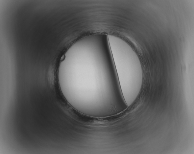 X0000102810455200808180956