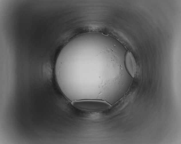 X0000102810456200808180956