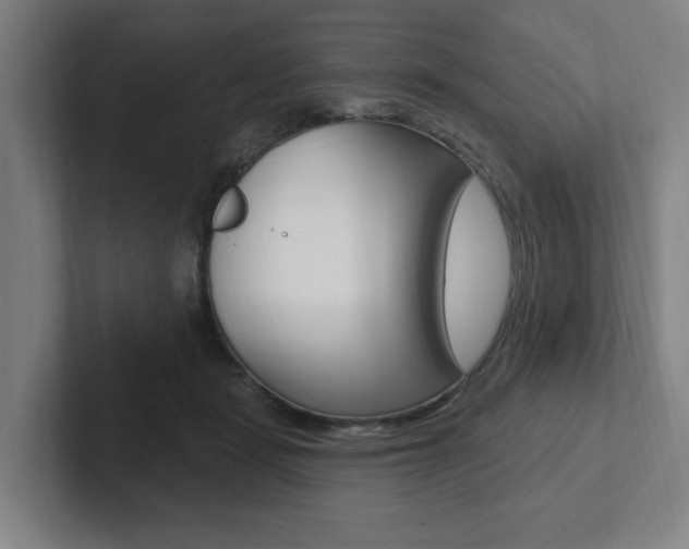 X0000102810461200808180956