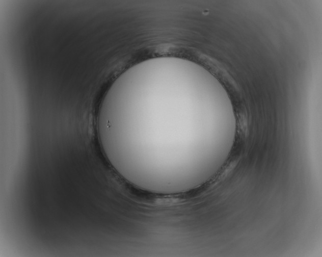 X0000102810470200808180956