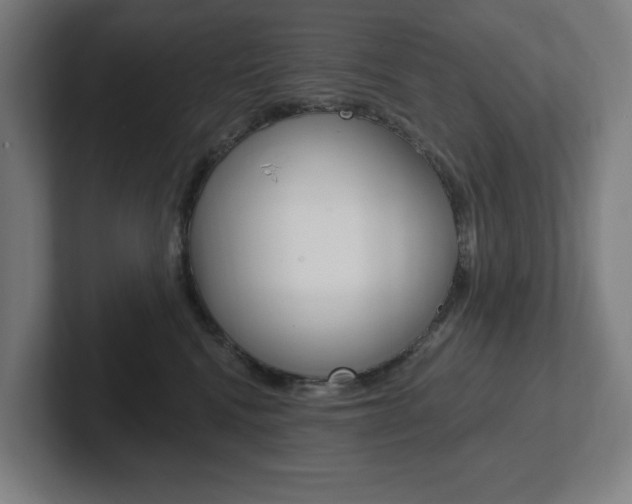 X0000102810472200808180956