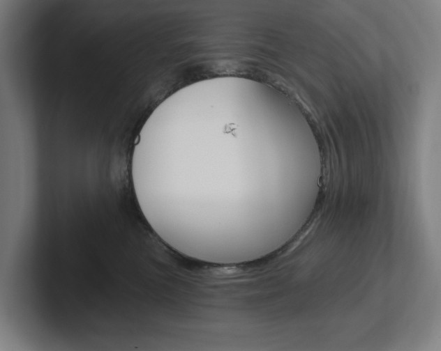 X0000102810473200808180956