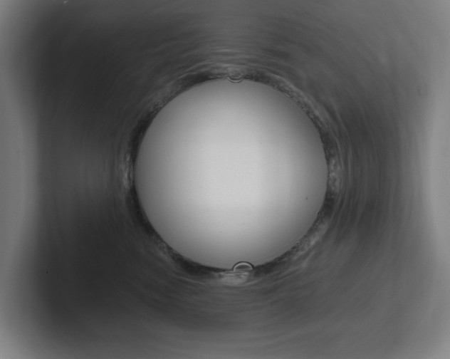 X0000102810474200808180956