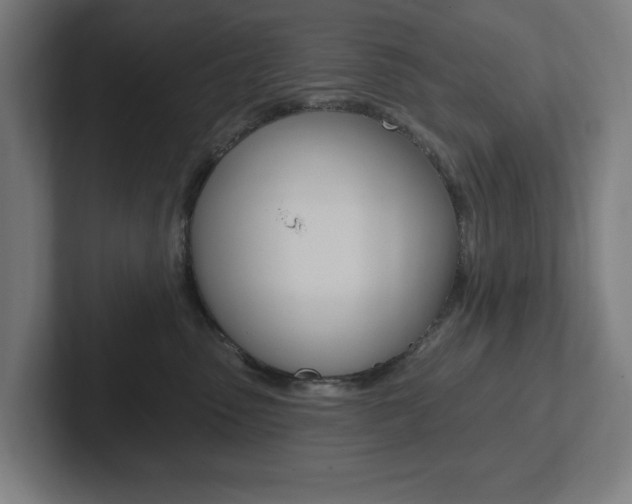 X0000102810475200808180956