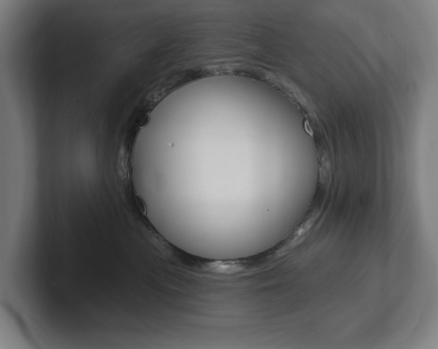 X0000102810477200808180956