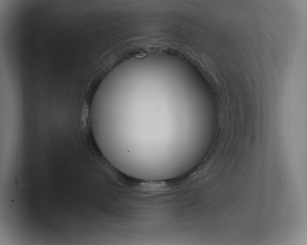 X0000102810480200808180956