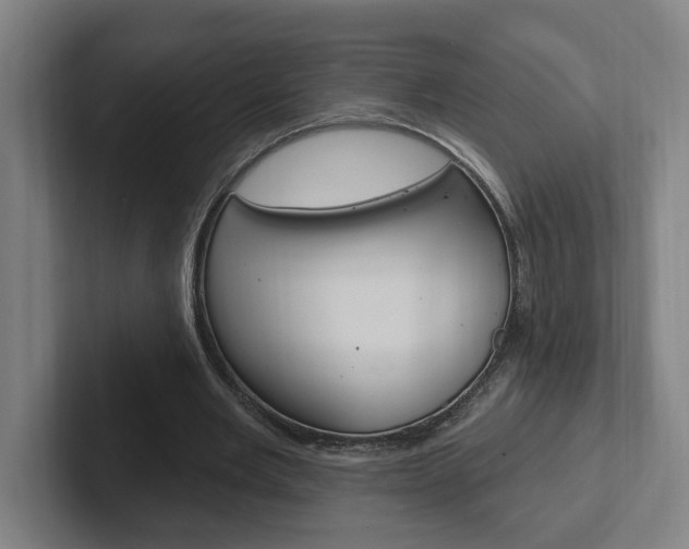 X0000102810485200808180956