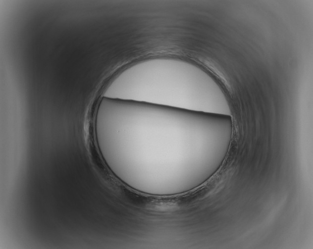 X0000102810491200808180956