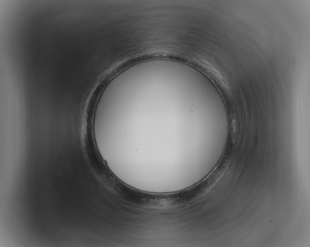 X0000102810492200808180956