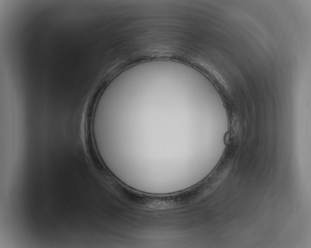 X0000102810494200808180956