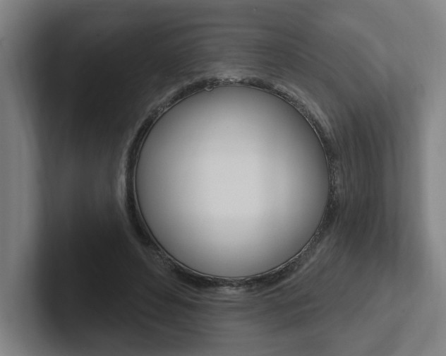 X0000102810496200808180956